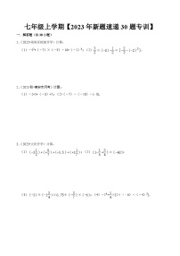 期中解答题新题速递30题专训（第一、二章）-2023-2024学年七年级数学上学期期中期末考点题型归纳+题型专训（人教版）