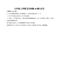 期中压轴题专训30题（第一、二章）-2023-2024学年七年级数学上学期期中期末考点题型归纳+题型专训（人教版）