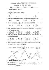 上海市延安初级中学2023-2024学年上学期九年级数学10月月考试卷