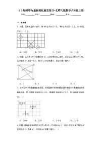 北师大版八年级上册3 轴对称与坐标变化当堂检测题