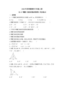 苏科版八年级上册2.5 等腰三角形的轴对称性精品随堂练习题