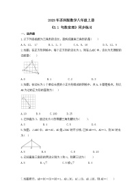 初中数学苏科版八年级上册第三章 勾股定理3.1 勾股定理优秀课后测评