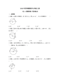 数学九年级上册2.4 圆周角优秀一课一练