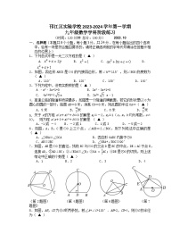 江苏省扬州市邗江区实验学校2023-2024学年九年级上学期10月阶段练习数学试卷（月考）