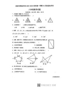 福建省龙岩市高级中学2023-2024学年上学期10月阶段性检测八年级数学试题（月考）