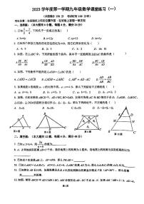 上海市娄山中学2023-2024学年上学期九年级数学10月月考试卷（月考）