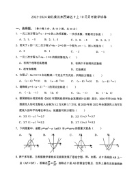 湖北省武汉市东西湖区2023-2024学年九年级上学期10月月考数学试卷（月考）