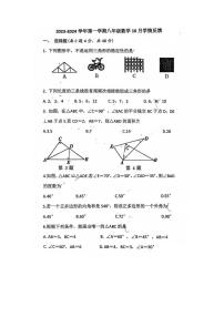 河北省唐山市第十二中学2023-2024学年八年级上学期10月月考数学试卷