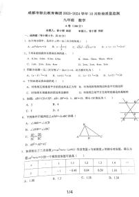 四川省成都市棕北中学2023-2024学年九年级上学期10月月考数学试题