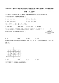 2023-2024学年山东省淄博市张店区科技苑中学七年级（上）调研数学试卷（10月份）（含解析）