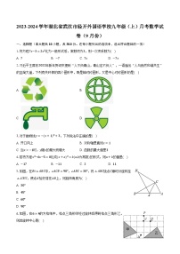 2023-2024学年湖北省武汉市经开外国语学校九年级（上）月考数学试卷（9月份）（含解析）