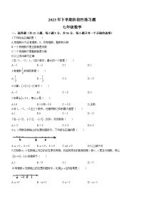 湖南省衡阳市成章实验中学2023-2024学年七年级上学期第一次月考数学试题