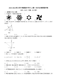 湖南省长沙市湖南师大附中梅溪湖中学2023-2024学年八年级上学期第一次月考数学试题