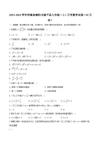 2023-2024学年河南省南阳市镇平县九年级（上）月考数学试卷（10月份）（含解析）