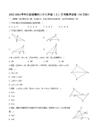 2023-2024学年江西省赣州三中八年级（上）月考数学试卷（10月份）（含解析）