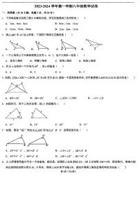 广东省珠海市香洲区珠海市第九中学2023-2024学年八年级上学期10月月考数学试题