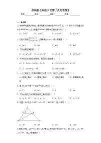 七年级数学下册苏科版七年级下【第二次月考卷】含解析答案