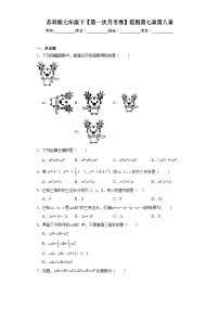 七年级数学下册七年级数学下册苏科版七年级下【第一次月考卷】范围第七章第八章含解析答案