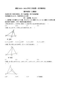 河北省沧州市献县第五中学2023-2024学年八年级上学期月考数学试题