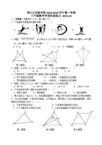 江苏省扬州市邗江区实验学校2023-2024学年八年级上学期学科阶段练习数学试卷（月考）