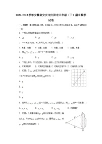 安徽省安庆市庆阳市2022-2023学年八年级下学期期末考试数学试卷(含解析)