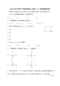 广东省汕尾市2022-2023学年八年级下学期期末考试数学试卷(含解析)