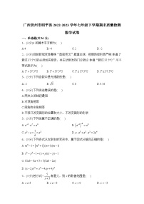 广西贺州市昭平县2022-2023学年七年级下学期期末教学质量检测数学试卷(含解析)