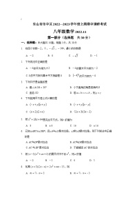 四川省乐山市市中区2022-2023学年八年级上学期期中测试数学试卷(含答案)