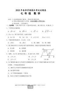 广西河池市宜州区2022-2023学年七年级下学期期末考试数学试卷(pdf版 含答案)