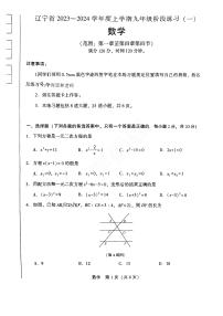 辽宁省沈阳市私立学校联考2023-2024学年九年级上学期10月月考数学试卷