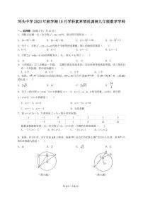 江苏省常州市金坛区河头中学2023-2024学年九年级上学期10月学科素养情况调研数学试卷（月考）