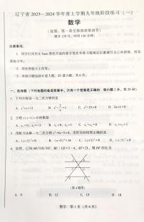 辽宁省沈阳市2023-2024学年九年级上学期10月月考数学试题