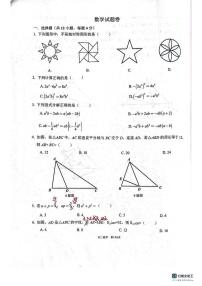 重庆市巴蜀中学2023-2024学年八年级上学期第一次月考数学试卷