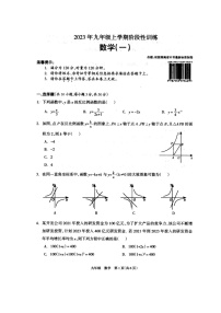 湖南省娄底市涟源市2023-2024学年九年级上学期10月月考数学试题