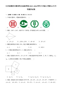 江苏省南京市南京民办实验学校2023-2024学年八年级上学期10月月考数学试卷