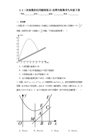 初中数学北师大版九年级下册第二章 二次函数4 二次函数的应用巩固练习