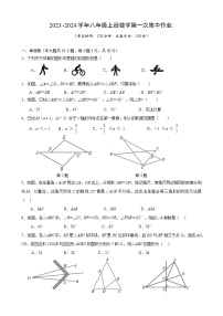 江苏省海安市十三校2023—2024学年八年级上学期第一次阶段性测试数学试卷（月考）