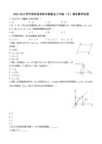 2022-2023学年吉林省吉林市船营区八年级（下）期末数学试卷（含答案解析）