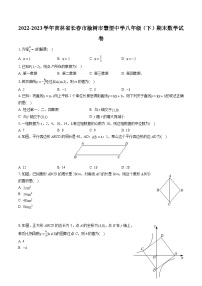 2022-2023学年吉林省长春市榆树市慧望中学八年级（下）期末数学试卷（含答案解析）