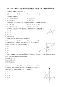 2022-2023学年辽宁省葫芦岛市兴城市八年级（下）期末数学试卷（含答案解析）