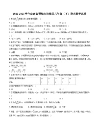 2022-2023学年山西省晋城市阳城县八年级（下）期末数学试卷（含答案解析）