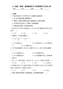 苏科版七年级上册6.1 线段 射线 直线一课一练