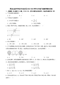 黑龙江省齐齐哈尔市龙沙区2022-2023学年七年级下册数学期末试卷