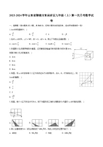 2023-2024学年山东省聊城市东昌府区九年级（上）第一次月考数学试卷（含解析）