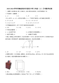 2023-2024学年河南省郑州外国语中学八年级（上）月考数学试卷（含解析）