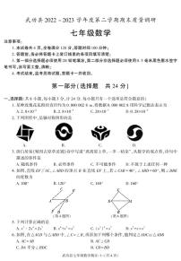 陕西省咸阳市武功县2022-2023学年七年级下学期期末质量调研数学试卷