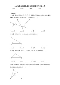 苏科版八年级上册3.1 勾股定理同步训练题