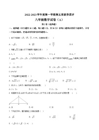 广东省茂名市高州市十校联考2022-2023学年八年级上学期素养展评数学试卷(含答案)