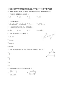 河南省信阳市息县2022-2023学年八年级下学期期中考试数学试卷(含解析)