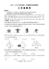 河南省驻马店市平舆县2022-2023学年八年级上学期期中素质测试数学试卷(含答案)